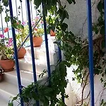 Apartment Gianna