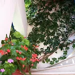 Apartmán Gianna